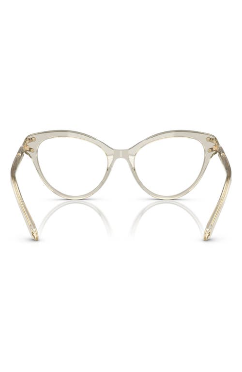 Swarovski 53mm Cat Eye Optical Glasses In Beige