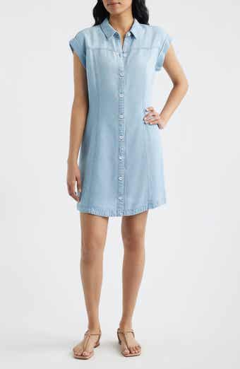 Seamed Denim Dress