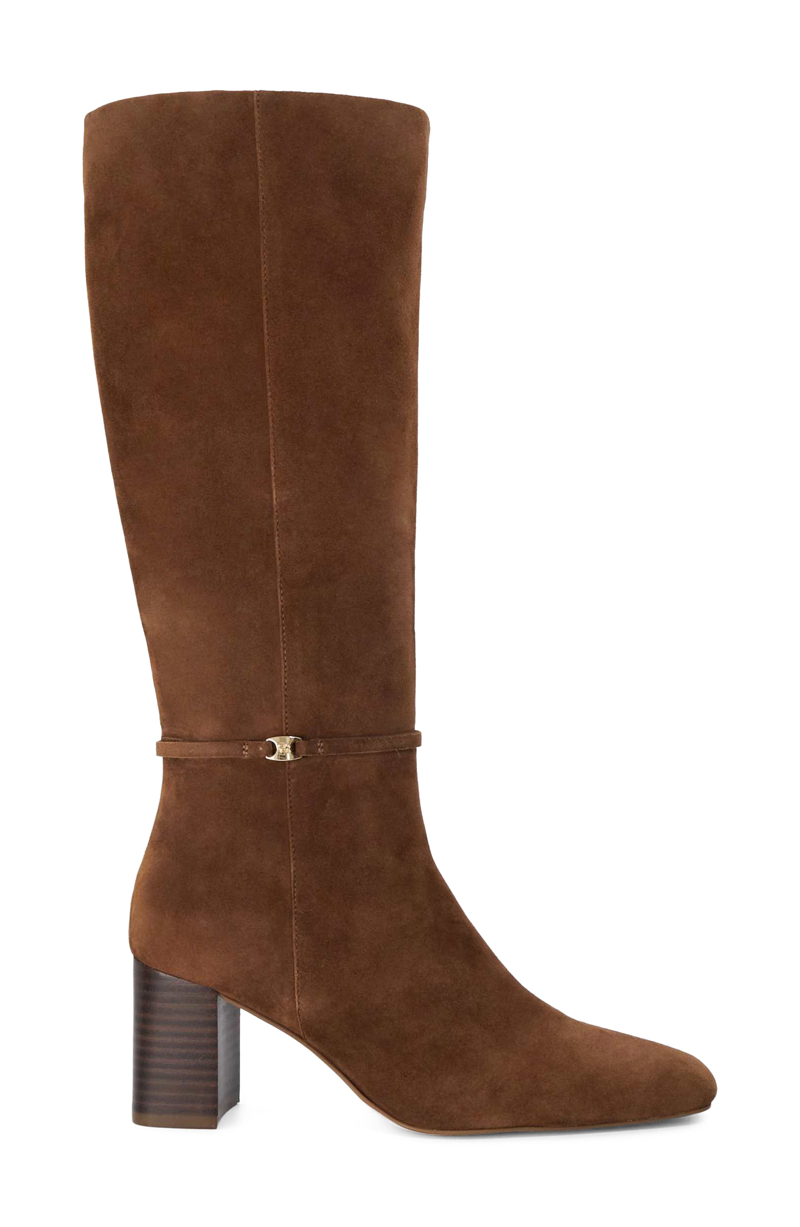 Salssa Knee High Boot, Alternate, color, TAN