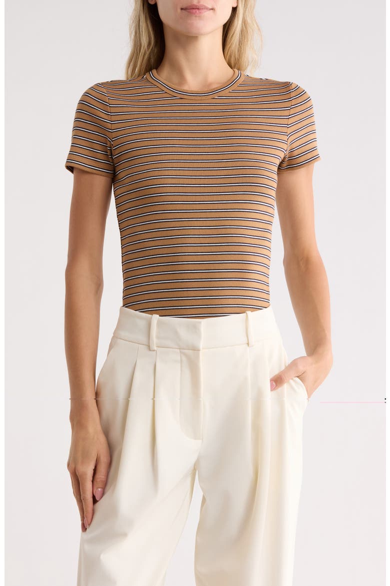 Pruitt Striped T-Shirt, Main, color, BROWN MULTI