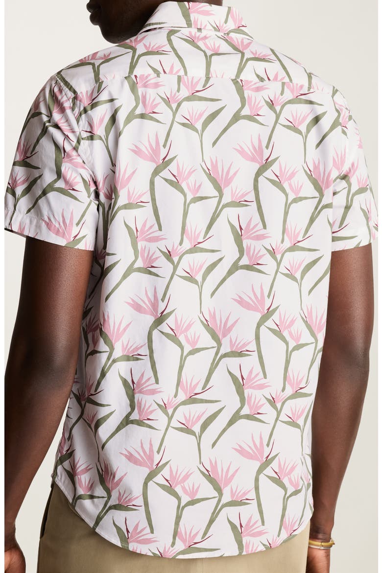 Riviera Slim Fit Point Collar Short Sleeve Stretch Cotton Button-Up Shirt, Alternate, color, BIRDS OF PARADISE