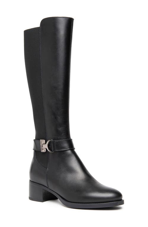 NeroGiardini Tall Block Heel Boot in Black 