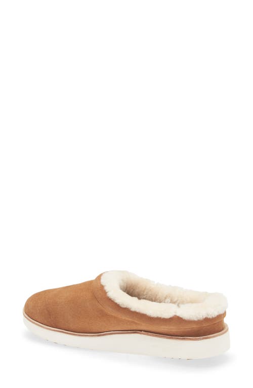 Olukai Mani Genuine Shearling Slipper In Brown