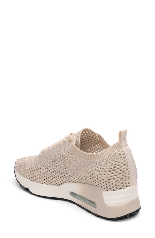 Ash Laika Mesh Sneaker In Talc