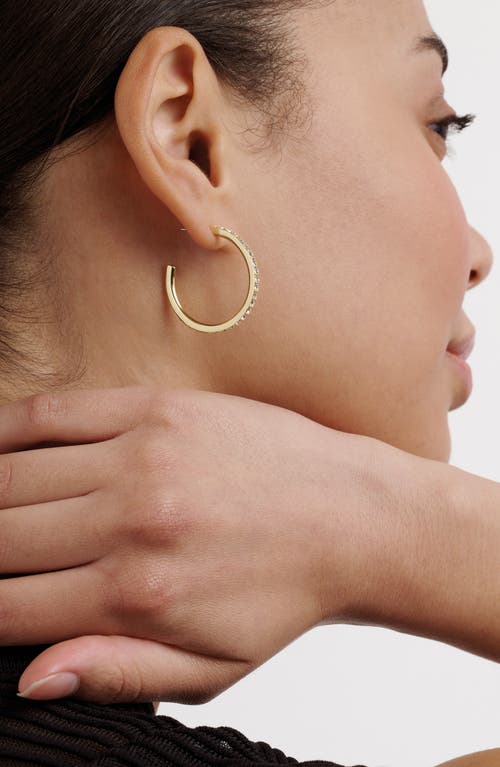Ted Baker Clanci Medium Crystal Hoop Earrings In Gold