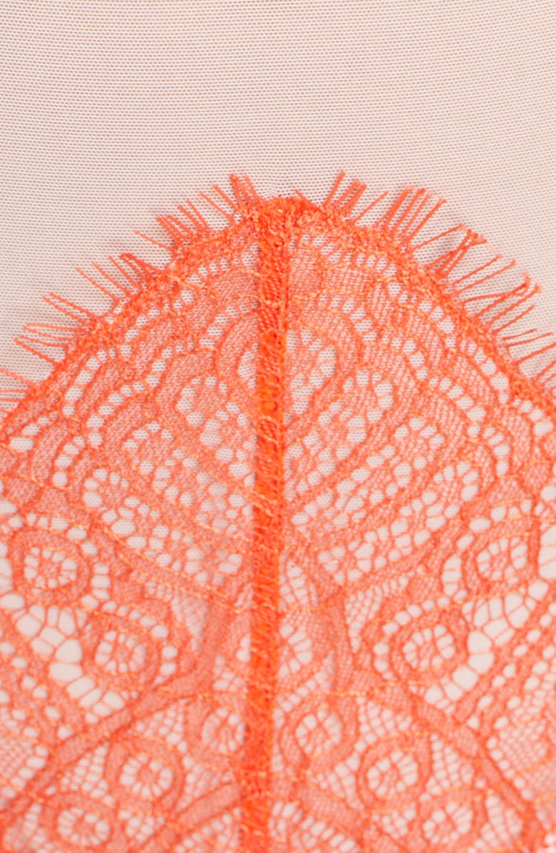 Dora Larsen Sophie High Waist Panties, Alternate, color,