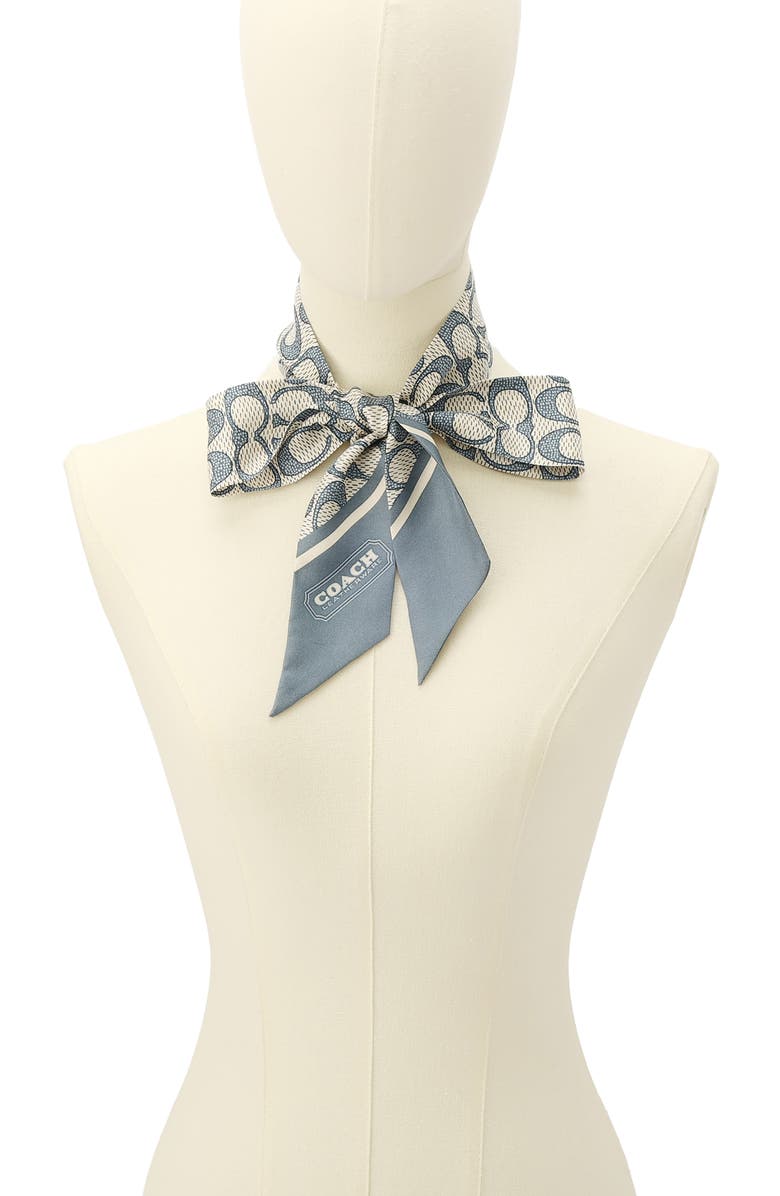 COACH Textured Signature Print Silk Skinny Scarf, Alternate, color, Light Denim