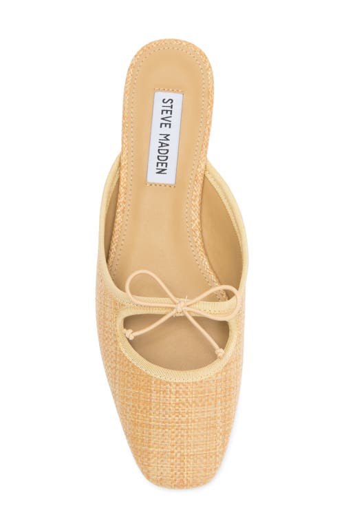 STEVE MADDEN STEVE MADDEN MARCELA BOW MULE 