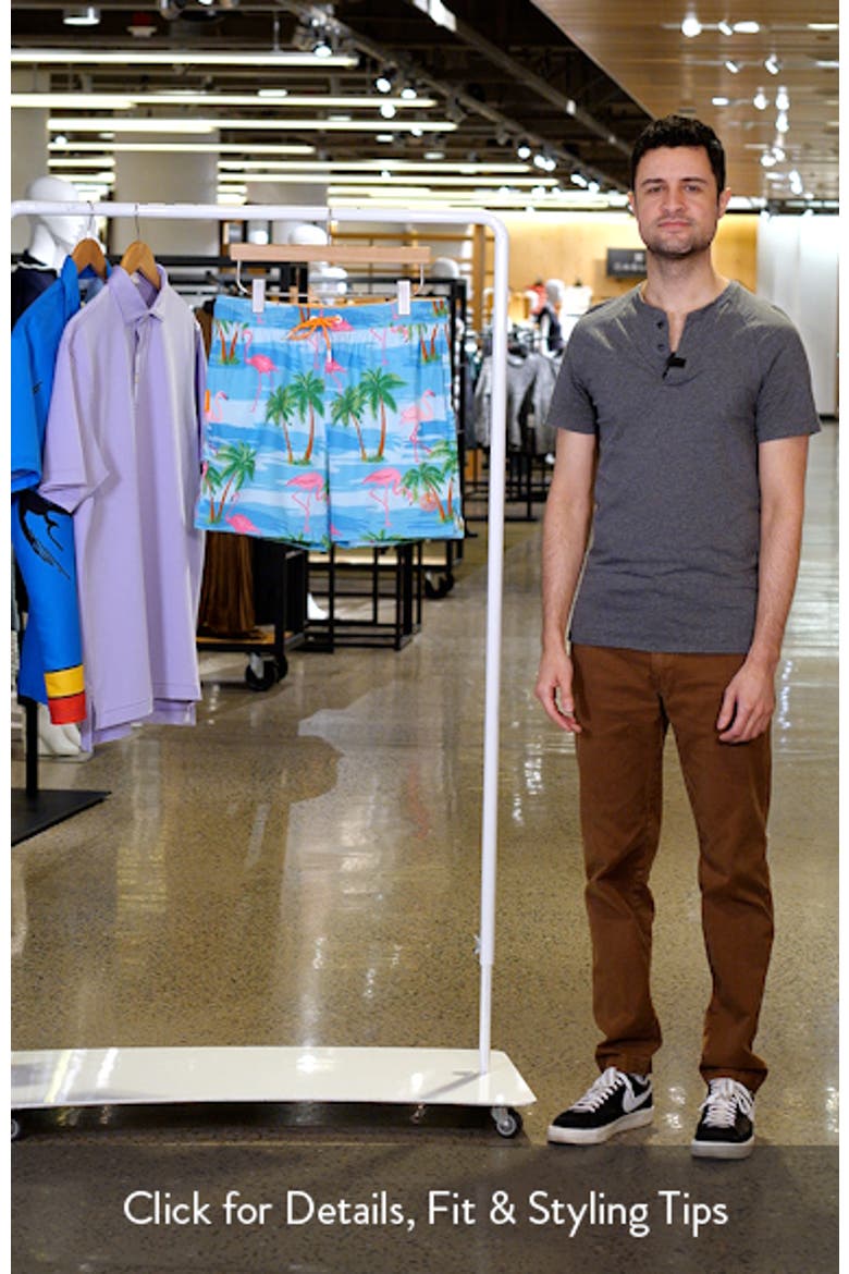 Flaminguy Stretch Swim Trunks video