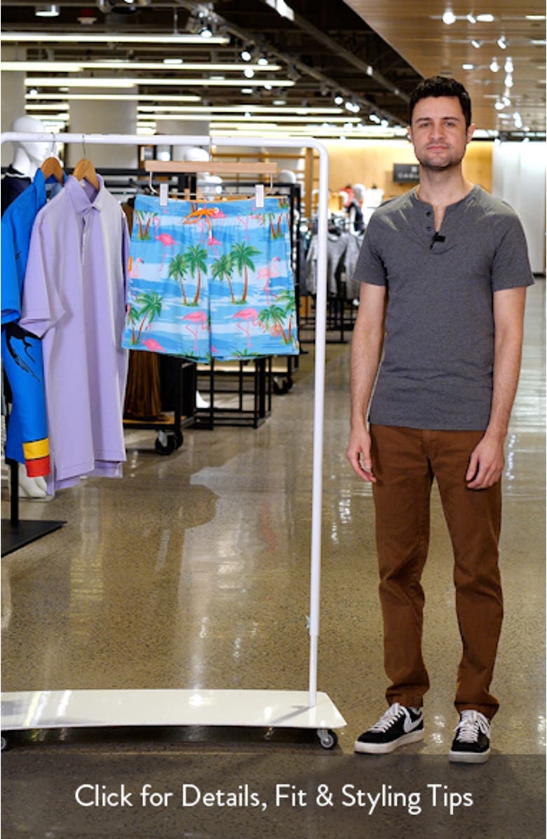 Flaminguy Stretch Swim Trunks, sales video thumbnail