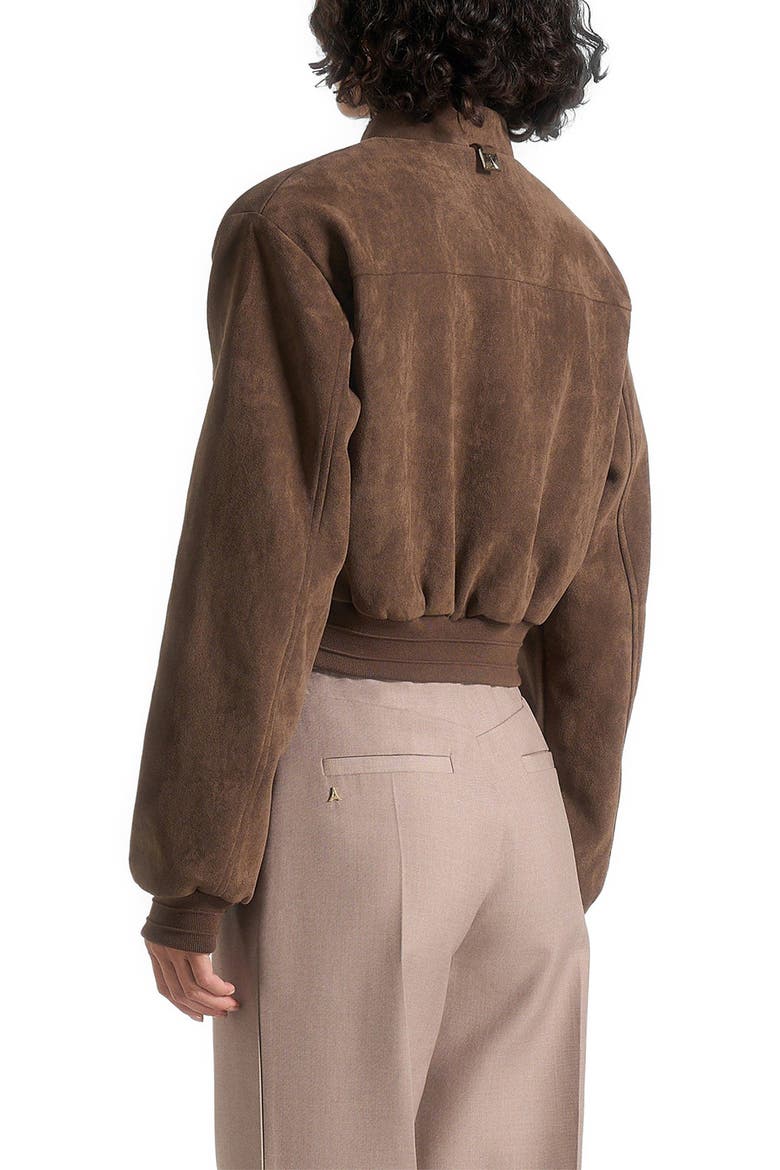 Monique Suede Wide Shoulder Bomber Jacket, Alternate, color, Brown