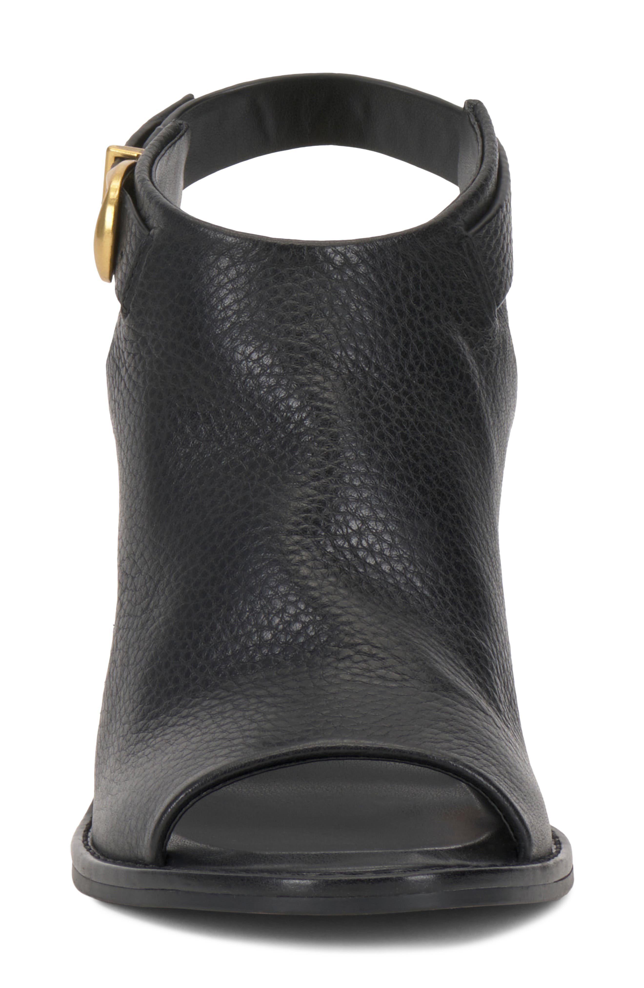 Fezisha Ankle Strap Sandal, Alternate, color, BLACK