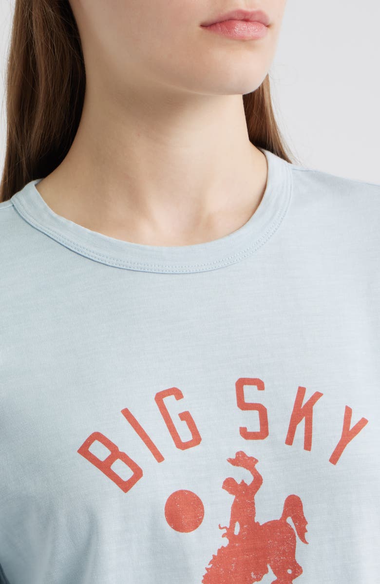 Faherty Big Sky Sunwashed Cotton Graphic T-Shirt, Alternate, color, Skyway
