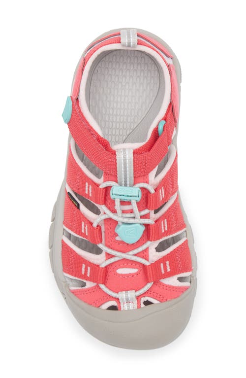 Keen Kids' Newport H2 Sandal In Raspberry/pink-a-boo
