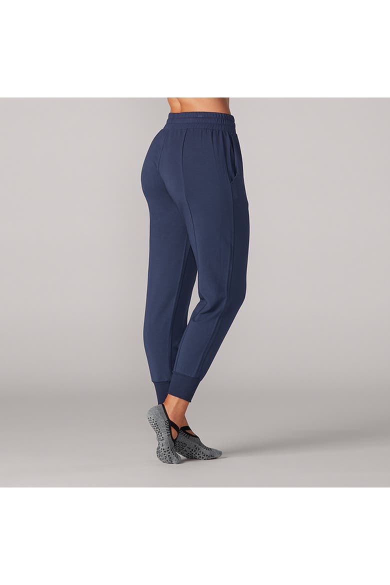 Cozy Jogger, Main, color, NAVY