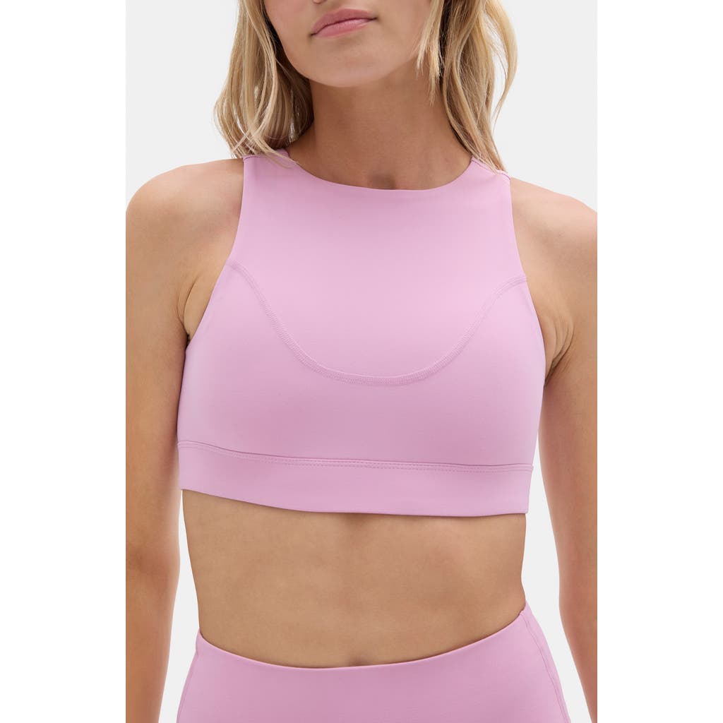 Halfdays Trail Sports Bra In Purple