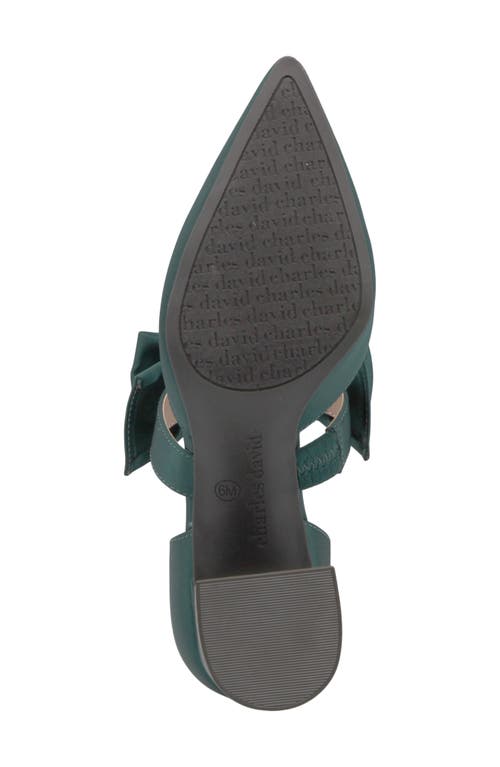 Charles David Andre Pointed Toe Pump In Green