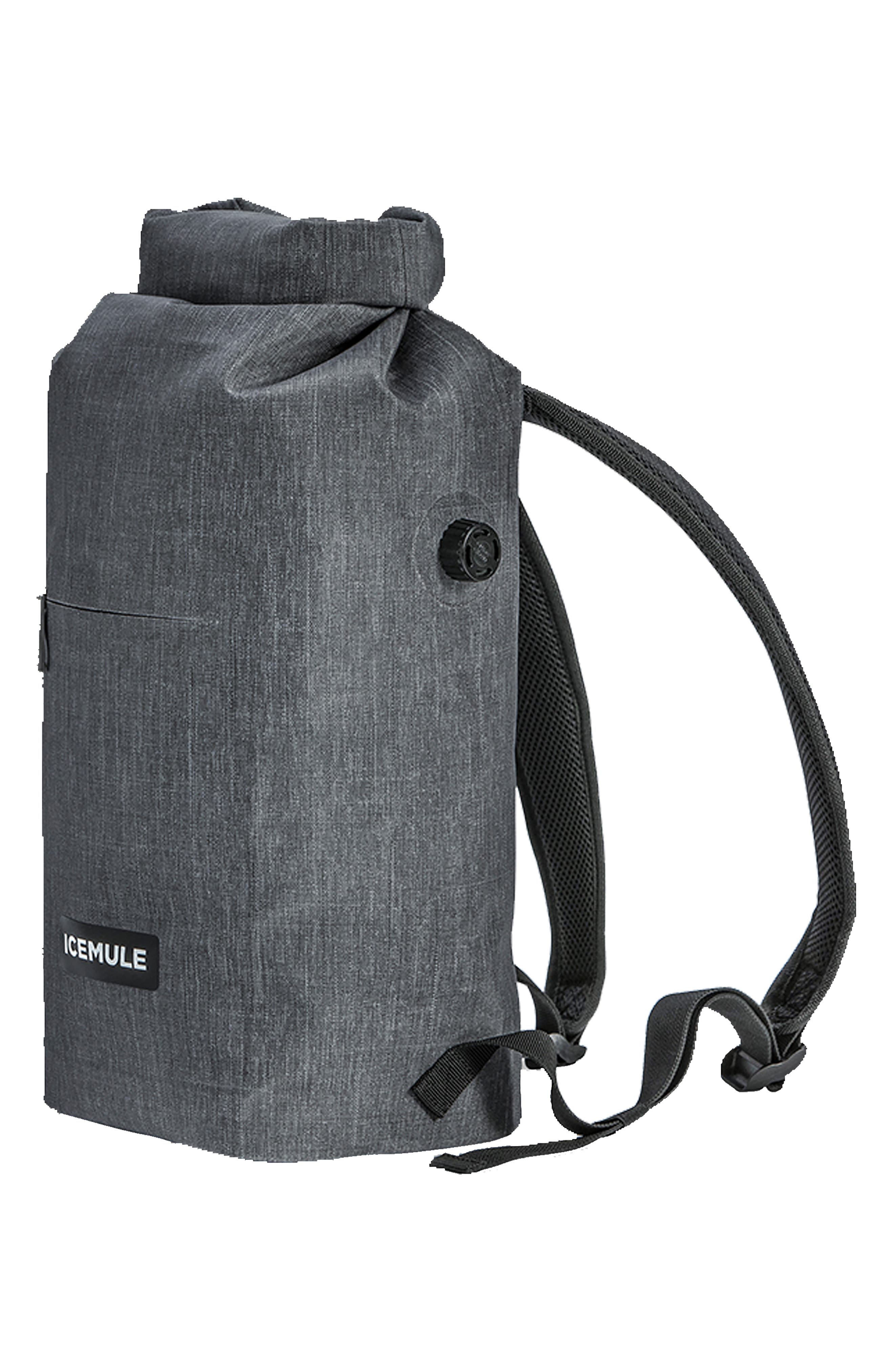 ICEMULE Coolers Jaunt 9L Backpack Cooler, Alternate, color, 