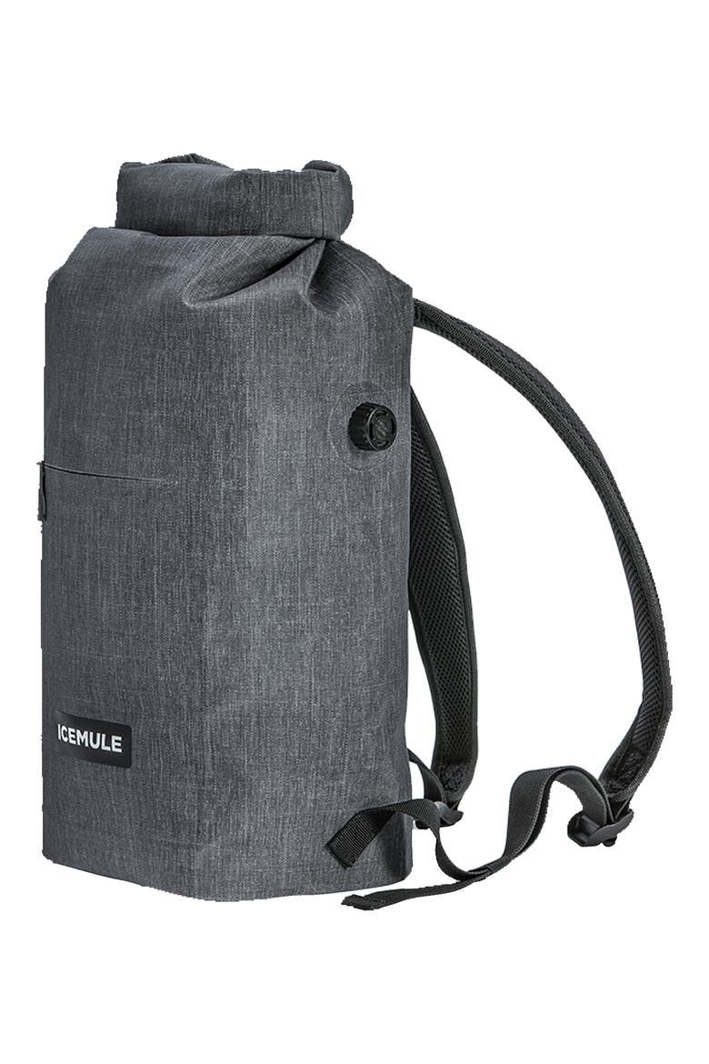 Coolers Jaunt 9L Backpack Cooler, Alternate, color, SNOW GREY