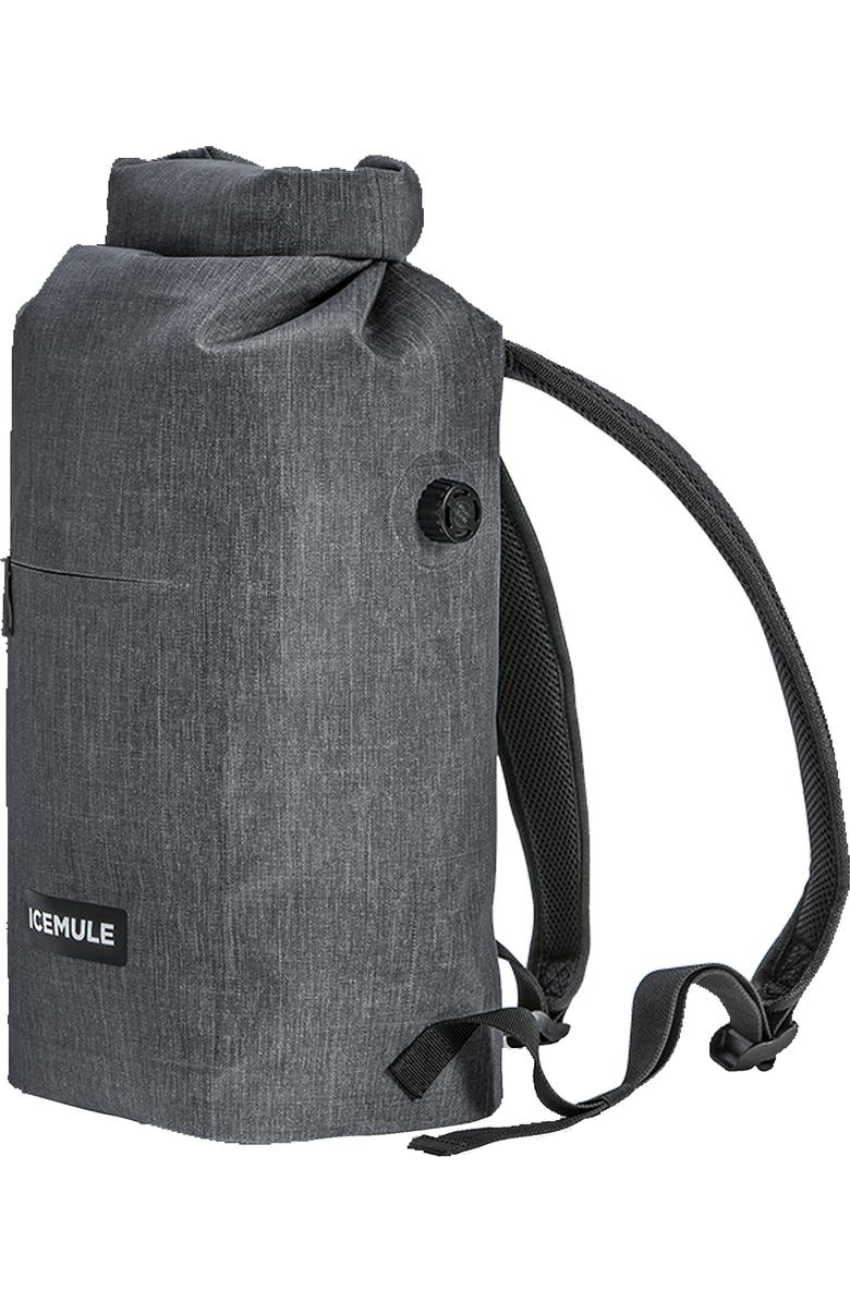 ICEMULE Coolers Jaunt 9L Backpack Cooler, Alternate, color,