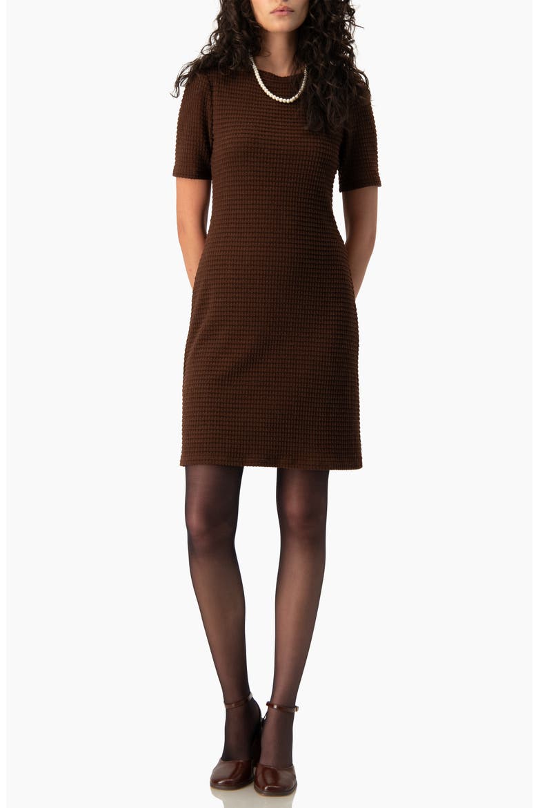 Textured Waffle-Knit Shift Short-Sleeve Mini Dress, Alternate, color, Brown