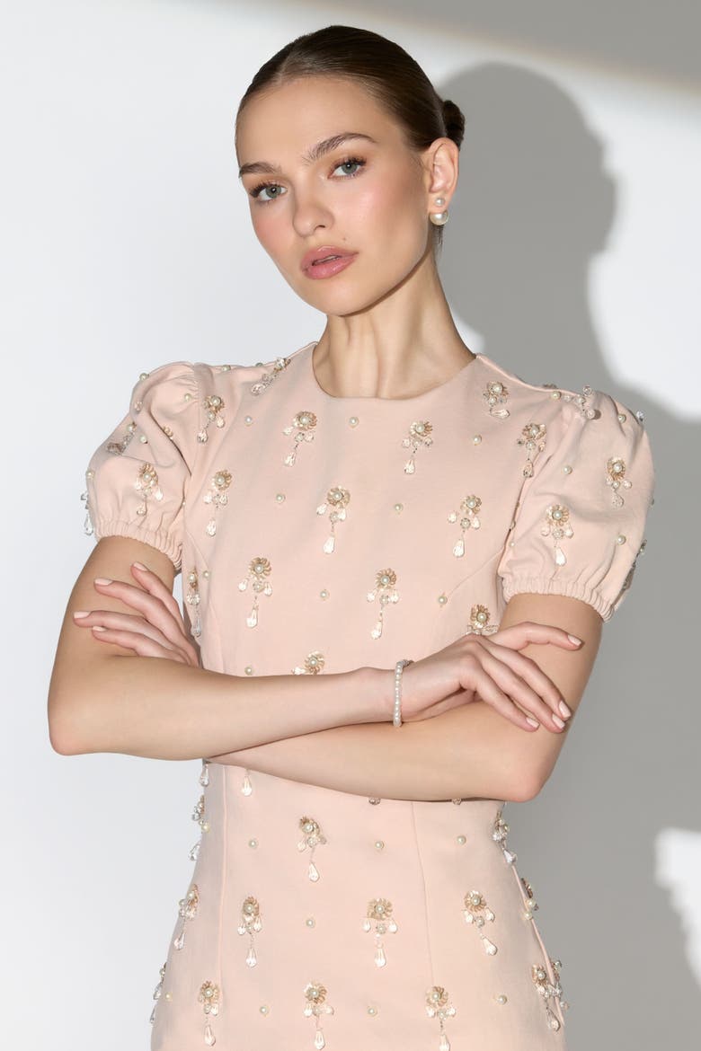 Crystal Embellished Short Sleeve Mini Dress, Alternate, color, Porcelain