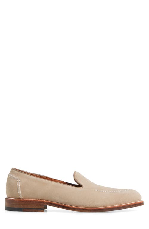 Alden Shoe Company Alden Regina Loafer In Milkshake Suede