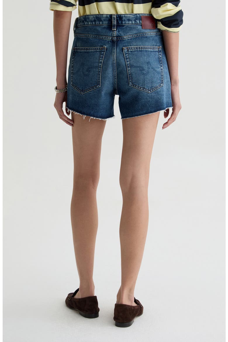 Halle High Waist Cutoff Denim Shorts, Alternate, color, 11 YEARS ENRICH