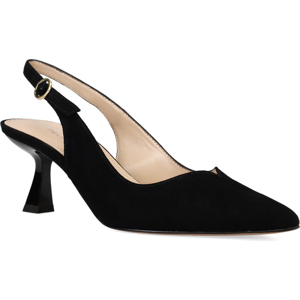 Pelle Moda Janah Slingback Pointed Toe Pump In Black Suede