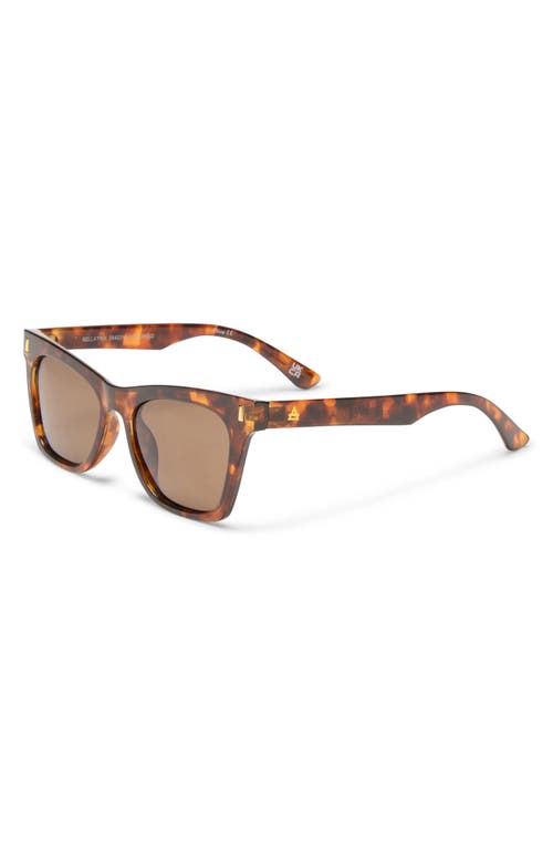 Aire Bellatrix 48mm Gradient Small Cat Eye Sunglasses In Dark Tort/brown Mono Pol