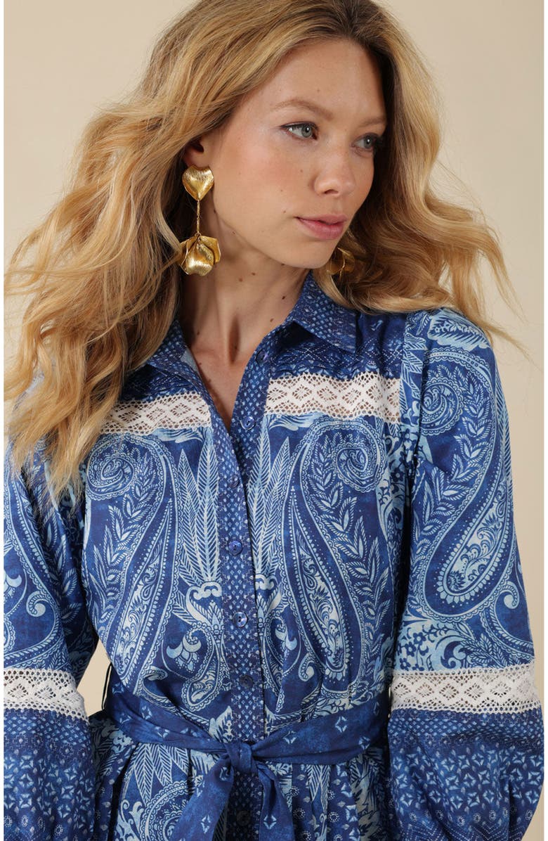 Hale Bob Collins Poplin Shirtdress, Alternate, color,