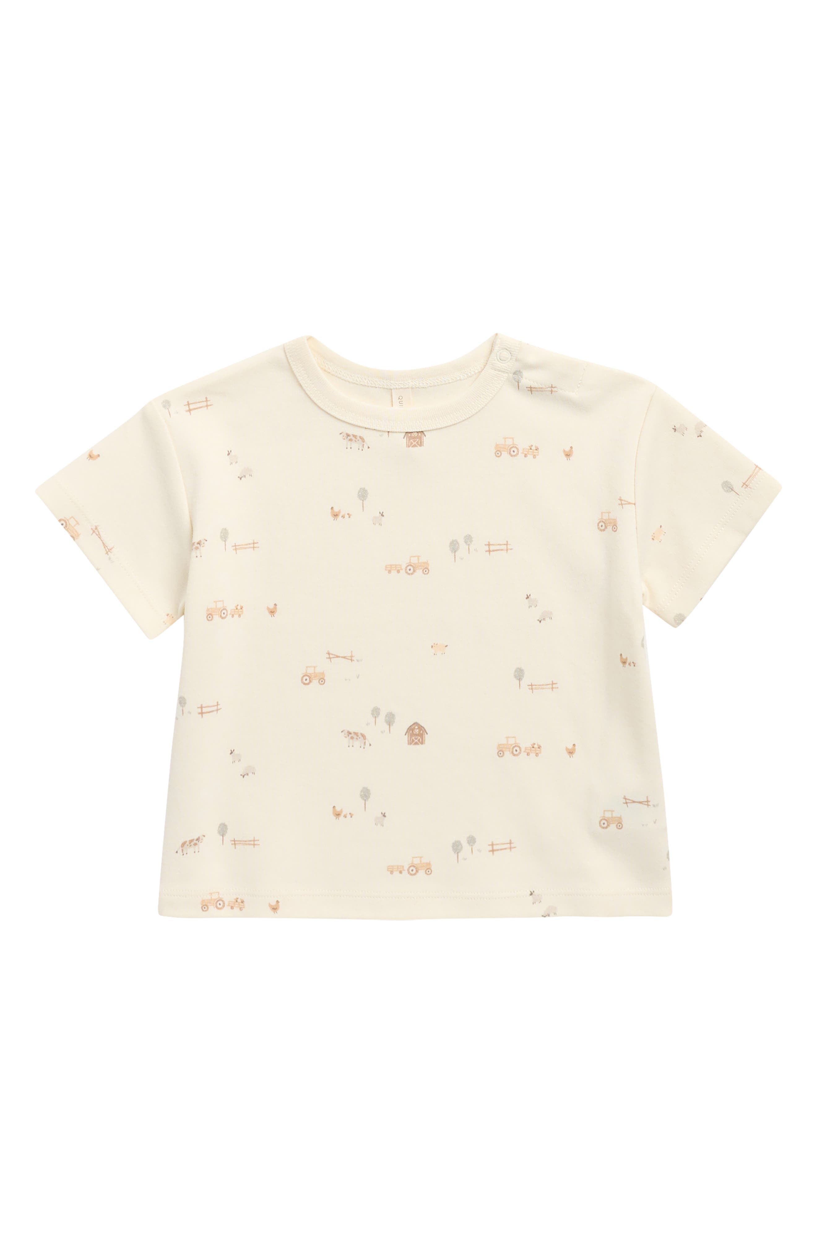 selected IVORY