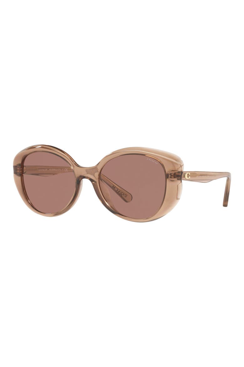 54mm Round Sunglasses, Alternate, color, BROWN