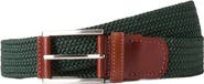 Robert Talbott Stretch Nylon Garfield Belt