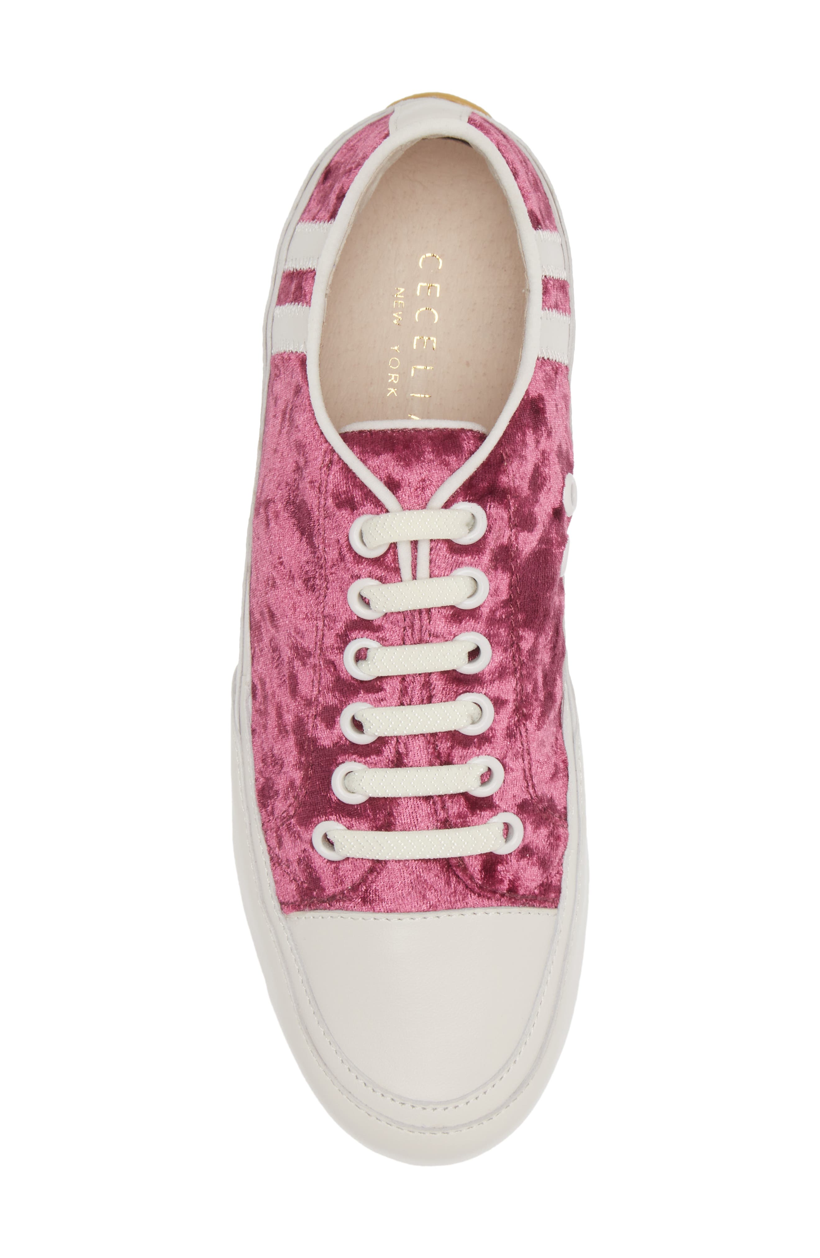 Cecelia New York Rookie Sneaker, Alternate, color, Wine Velvet