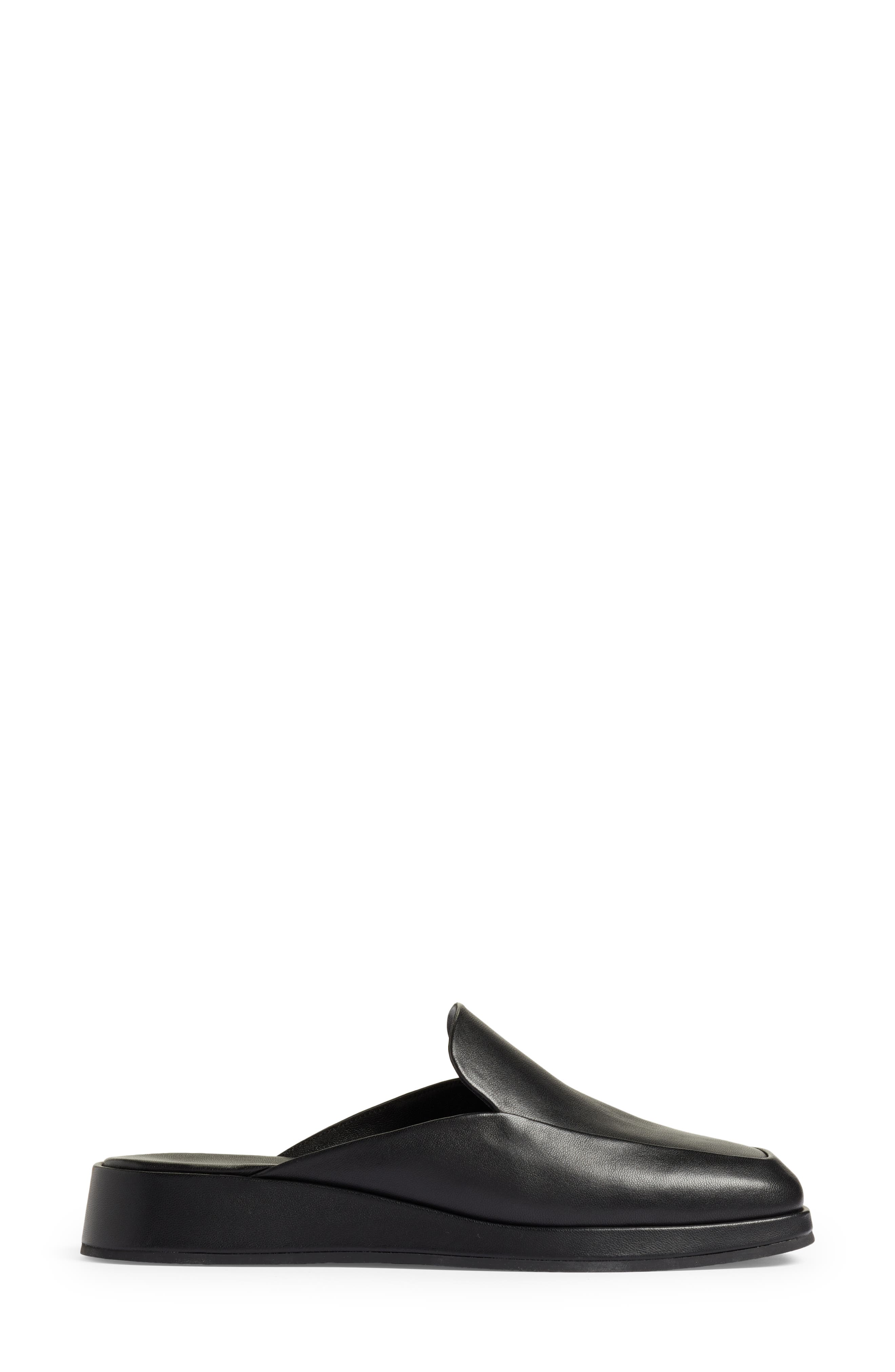 Vince Raquel Mule, Alternate, color, 