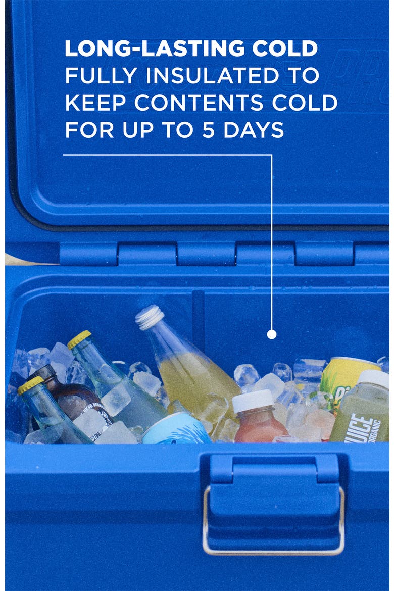 Pro Series 55-Quart Hard Cooler, Alternate, color, Neptune