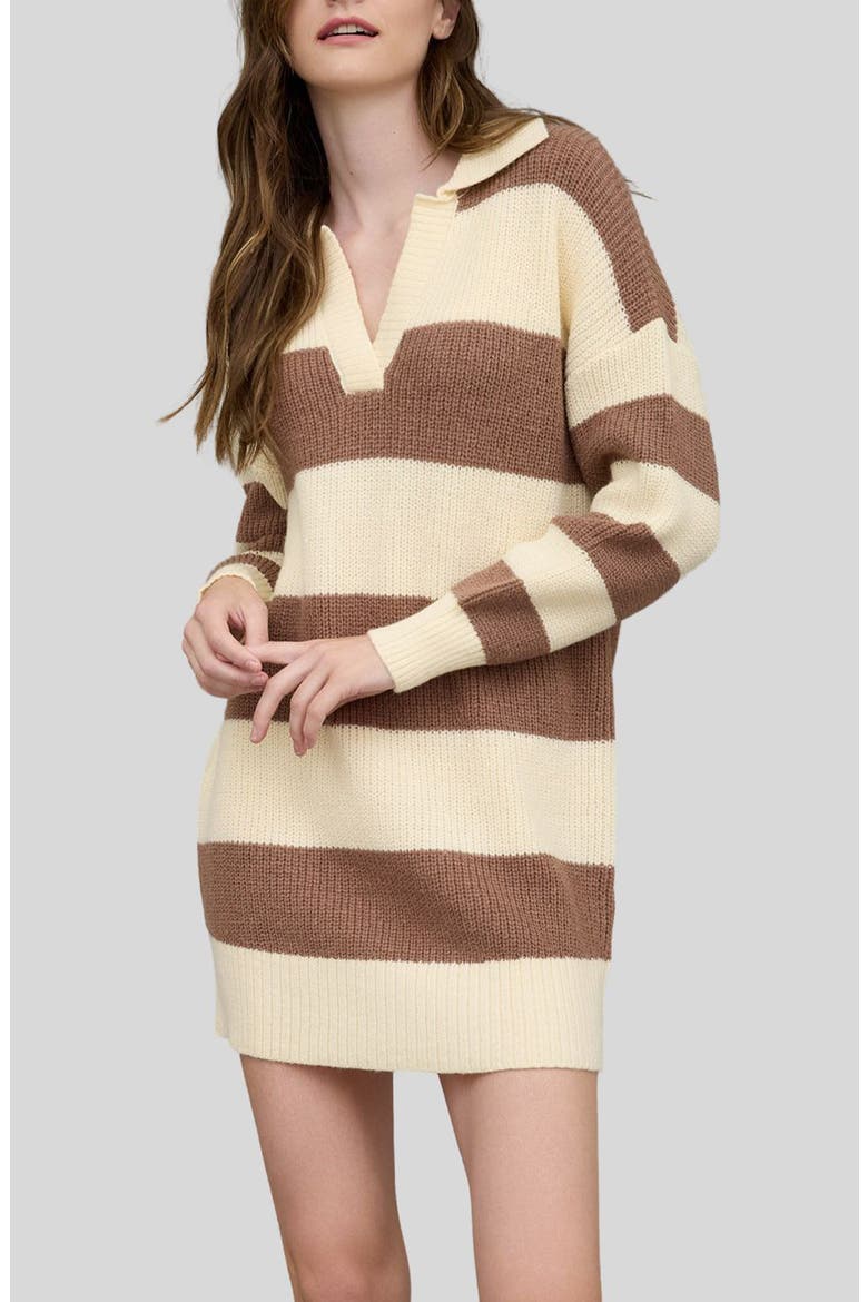 Stripe Long Sleeve Sweater Dress, Main, color, BROWN