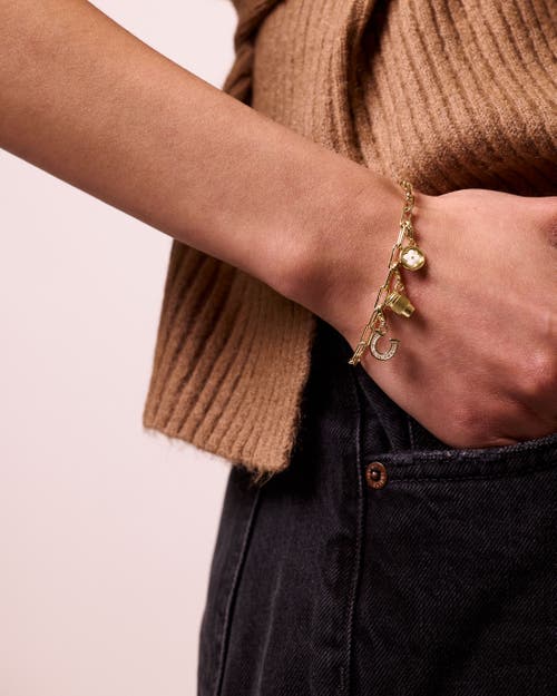 Electric Picks Clover Charm In Gold