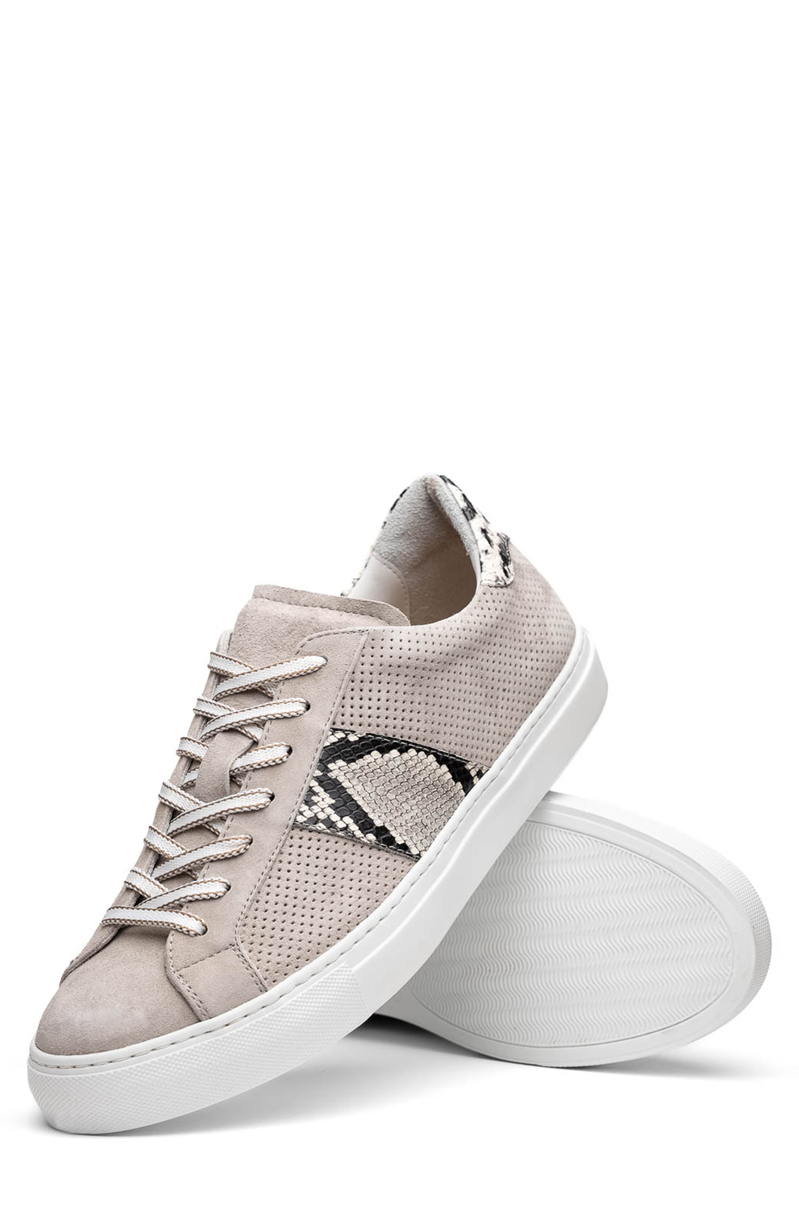 Zelli Italia Olympias Sneaker, Alternate, color, Grey