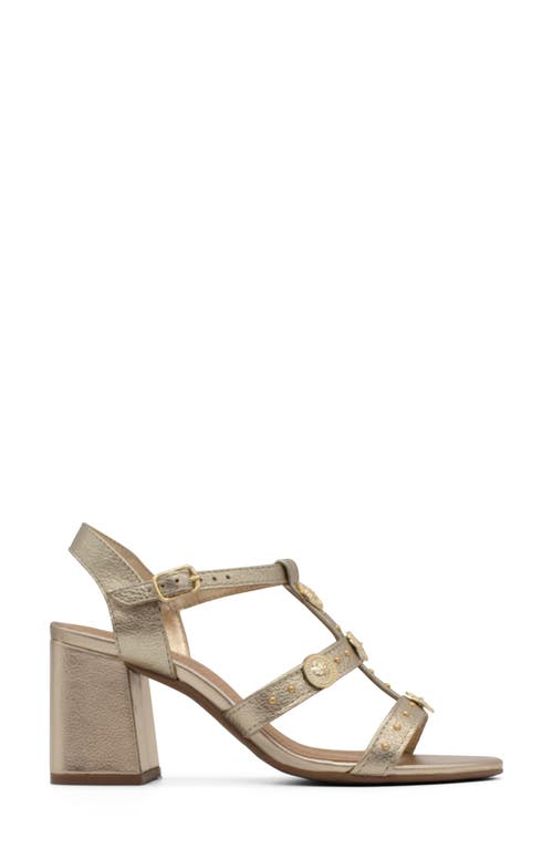 Bottero 362514 X Botingrid Verao Xxiv Sandal