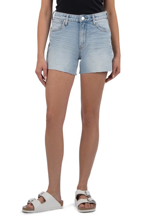 Jane High Waist Cutoff Denim Shorts (Deep)