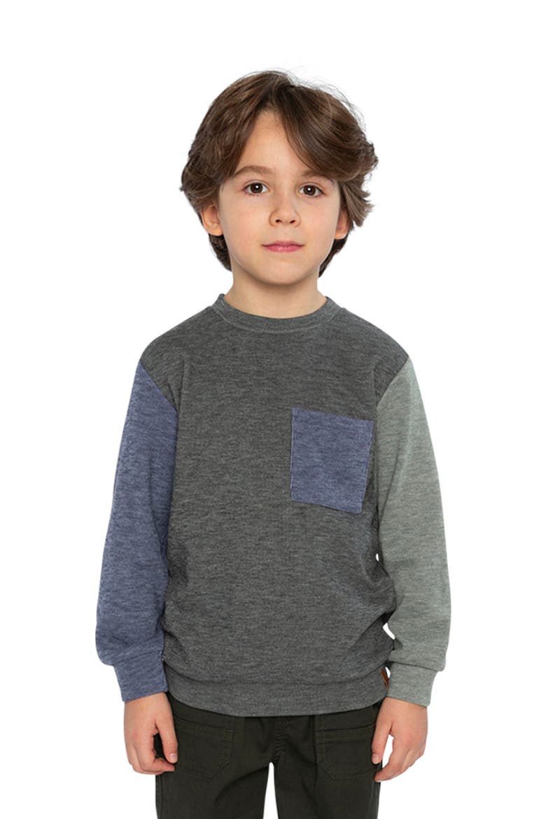 Colorblock Crew Neckline Jersey Top with Chest Pocket, Alternate, color, Pig Brown