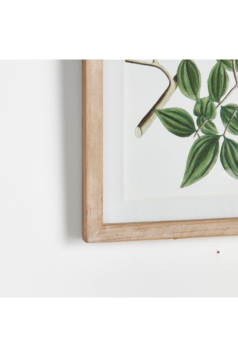 Verdant Branch Prints Set of 4, Alternate, color, Green