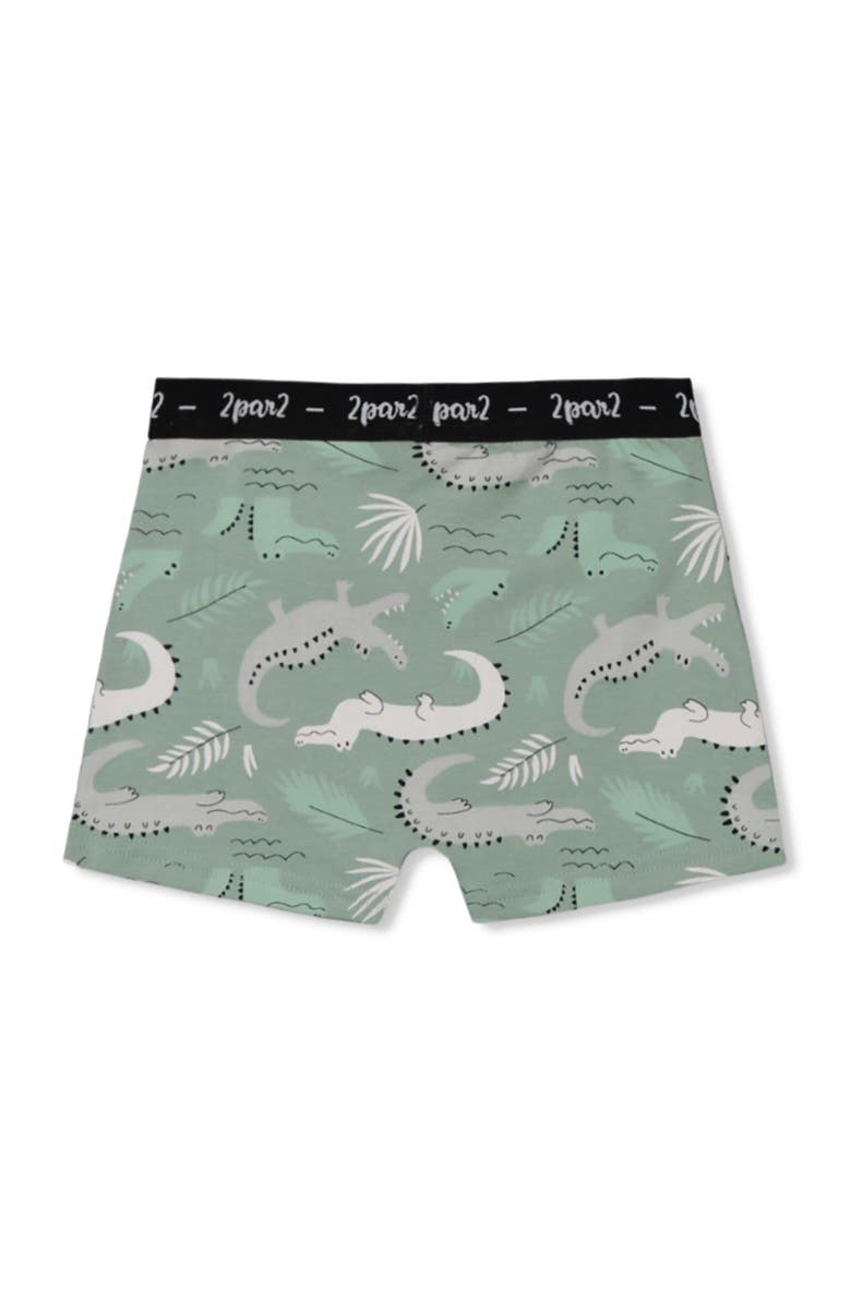 Deux par Deux Boy's Printed Organic Cotton Boxer Shorts Light Sage And Gray Crocodile, Alternate, color,