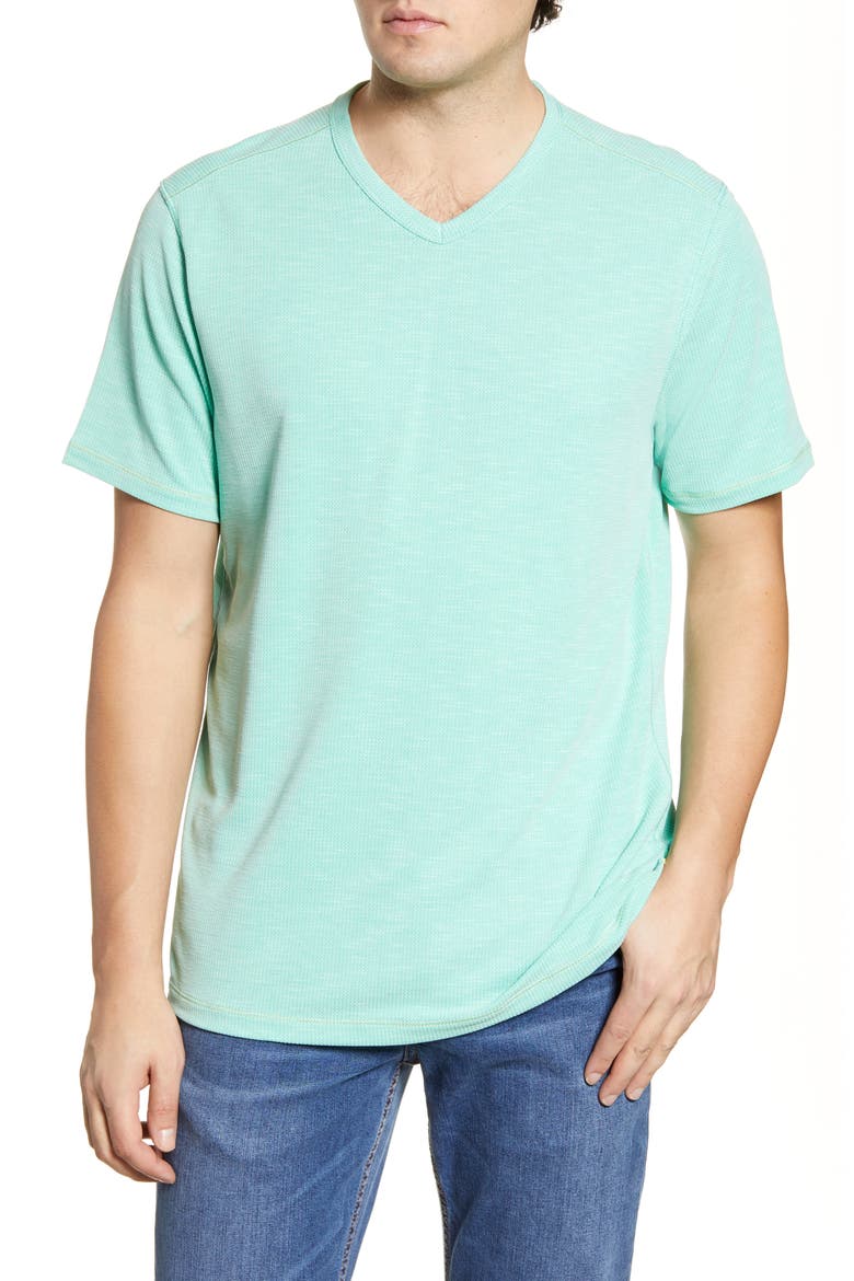 Tropicool Paradise V-Neck T-Shirt, Main, color, AQUA ALOHA