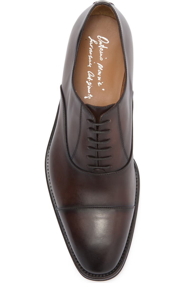 ANTONIO MAURIZI Cap Toe Oxford, Alternate, color,