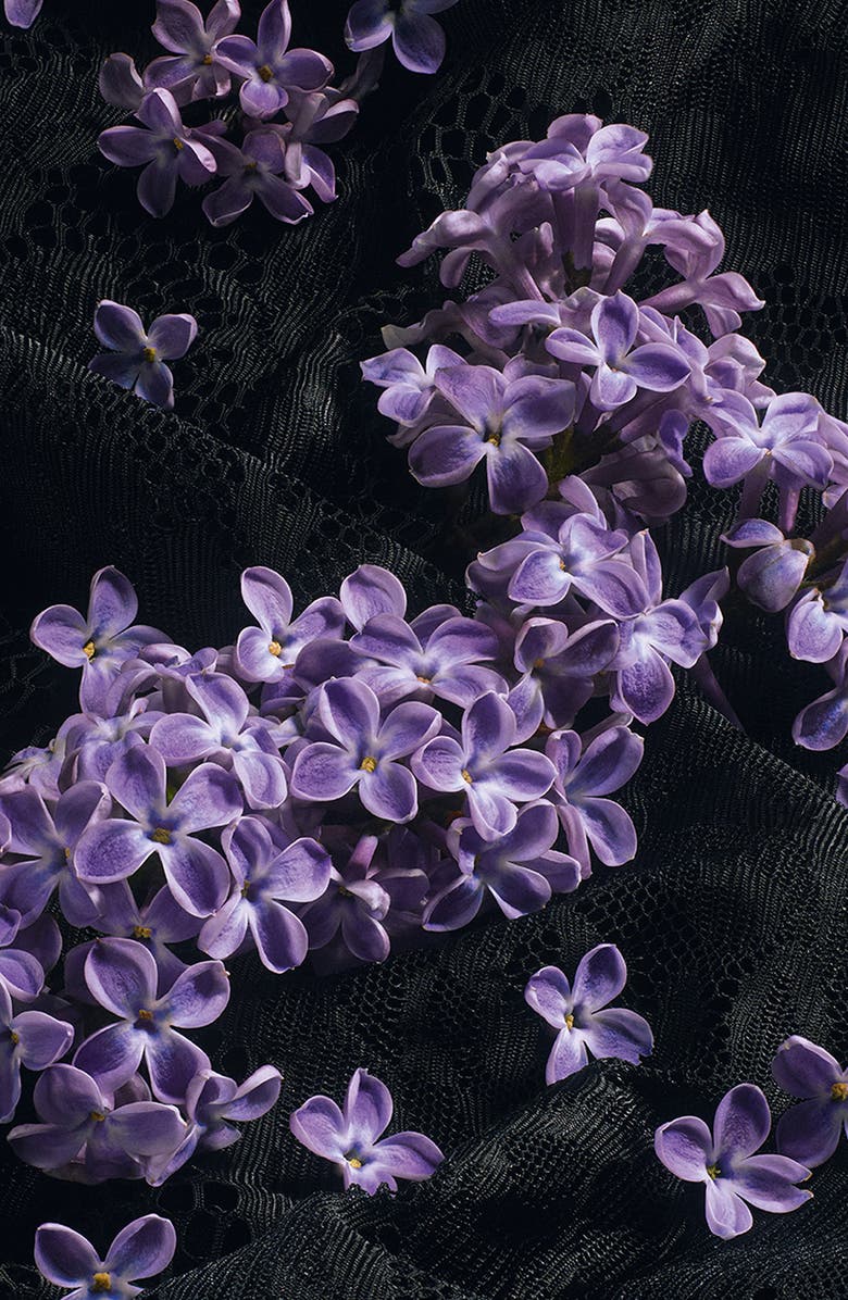 Dolce&Gabbana Sicily Re-Edition Eau de Parfum, Alternate, color, 