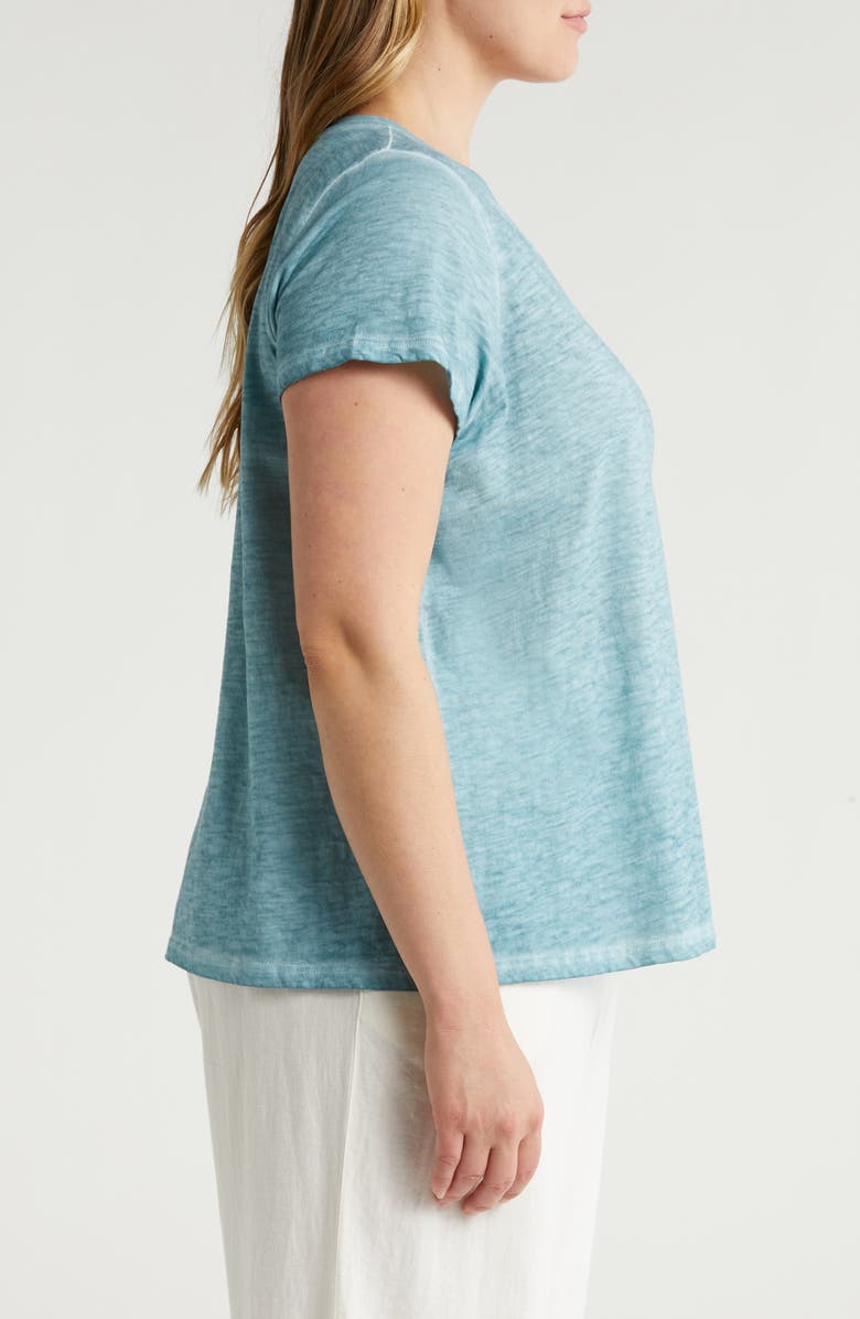 Eileen Fisher Organic Cotton V-Neck T-Shirt, Alternate, color,