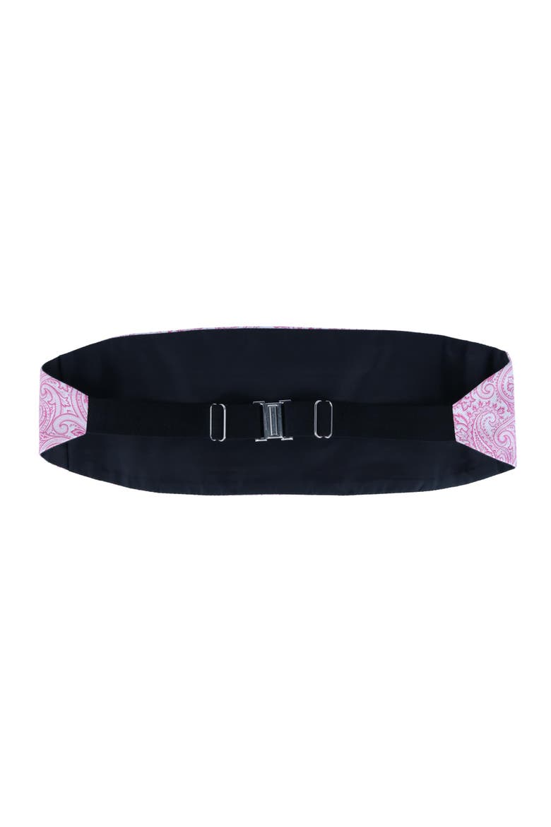 Sobee Paisley Silk Cummerbund, Alternate, color, Pink Paisley